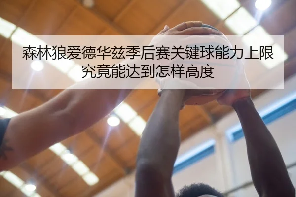 森林狼爱德华兹季后赛关键球能力上限究竟能达到怎样高度