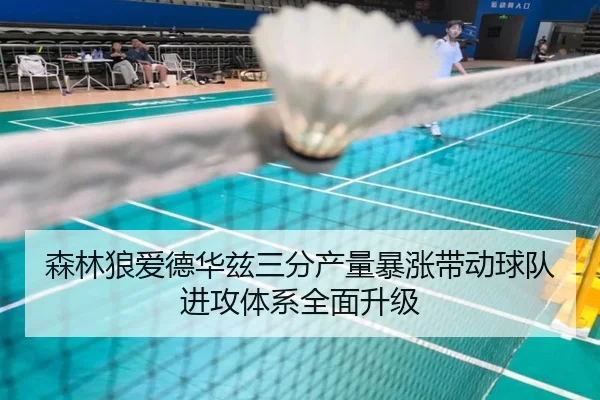 森林狼爱德华兹三分产量暴涨带动球队进攻体系全面升级（kaiyun）